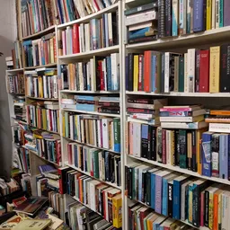 Boekenkasten met honderden tweedehands boeken in verschillende genres en kleuren netjes uitgestald op witte stellingen.