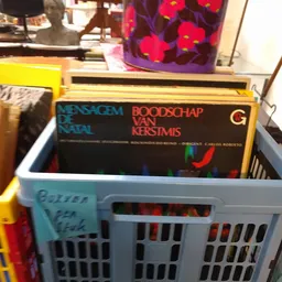 Plastic krat met tweedehands boeken waaronder titels in Nederlands en andere talen