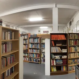 Boekenkasten en stellingen vol met tweedehands boeken in een kringloopwinkel
