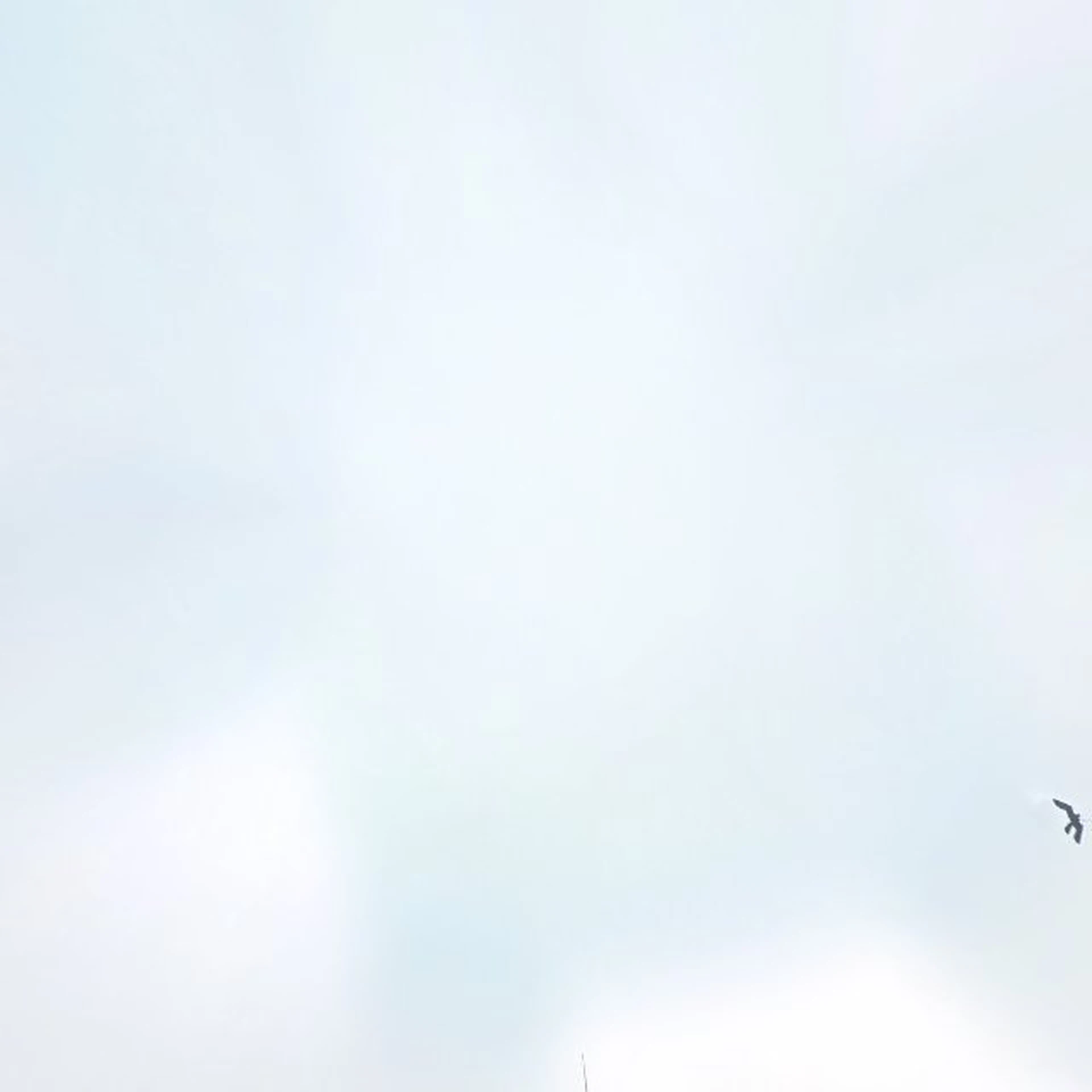 Kringloopwinkel Boekenkringloop Purmerend in Purmerend