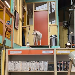 Bezoeker foto van Kringloopwinkel Bric & Brac Rommelmarkt in Stompetoren