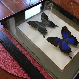 Bezoeker foto van Kringloopwinkel Bric & Brac Rommelmarkt in Stompetoren