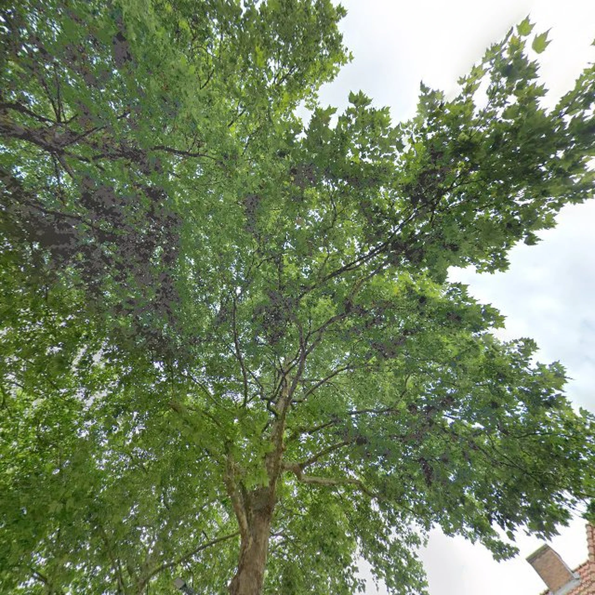 Kringloopwinkel Kringloopwinkel Britje s store&more in Eindhoven