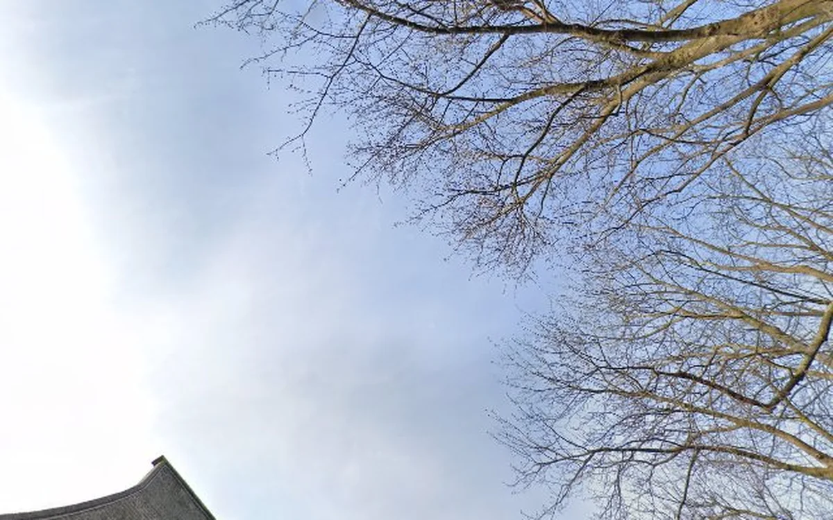 Kringloopwinkel Kringloopwinkel Brocanterie Sentimental Me in Barendrecht