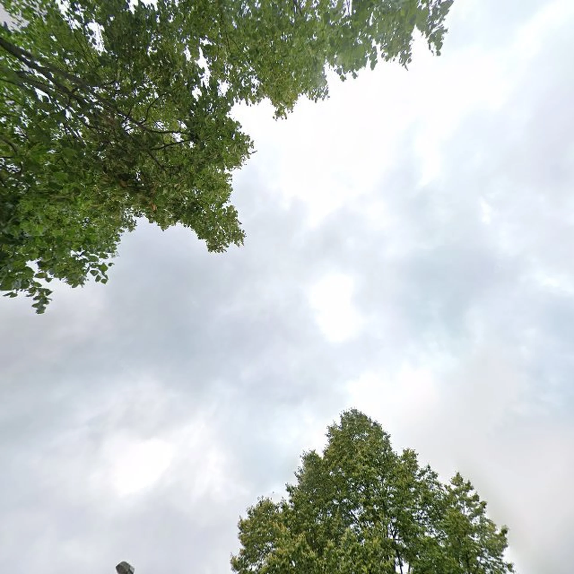 Kringloopwinkel Kringloopwinkel Buurthuuske in Klazienaveen