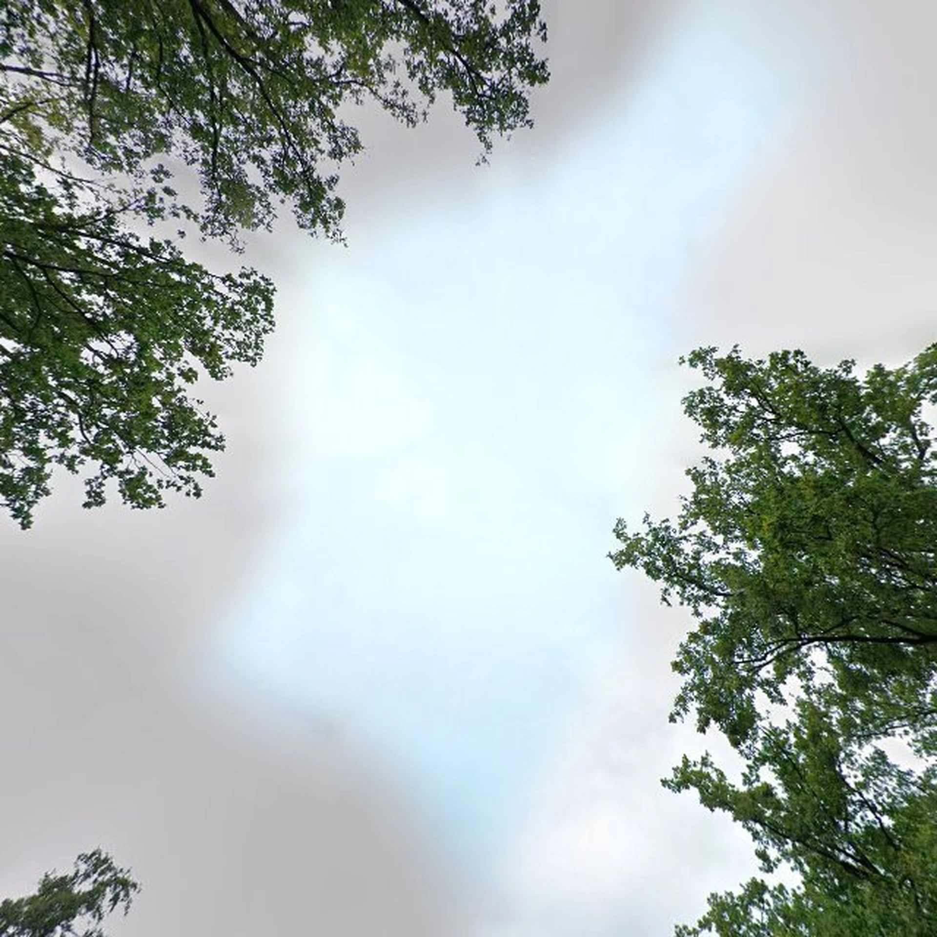 Kringloopwinkel Calendula Tuin- en kringloopwinkel in Assen