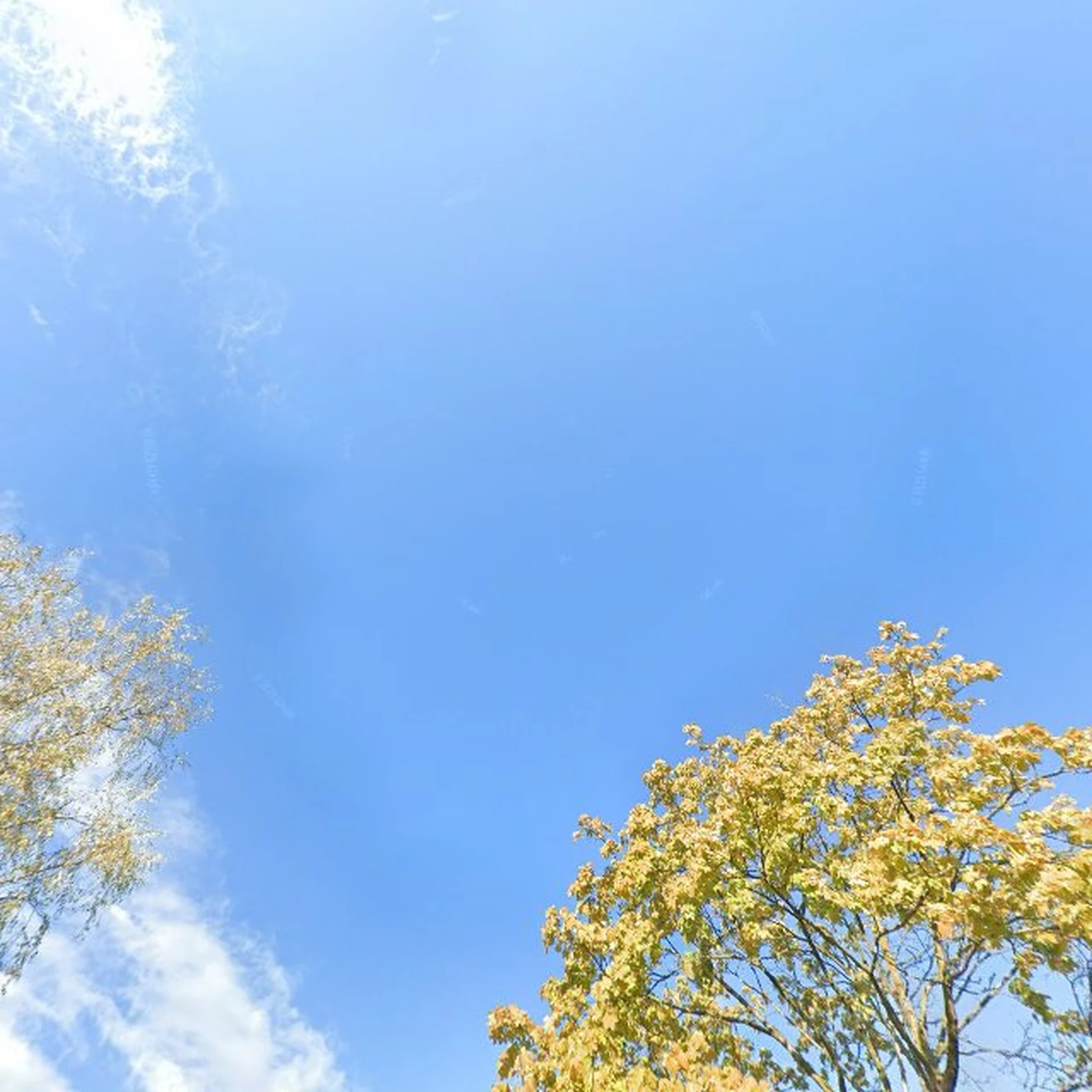 Kringloopwinkel Calendula Tuin- en kringloopwinkel in Assen