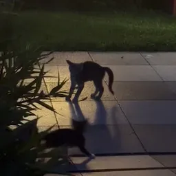 Bezoeker foto van Kringloopwinkel Carbootsale Horst in Horst