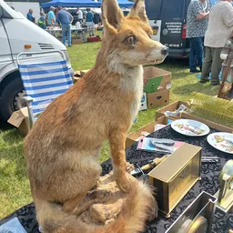 Bezoeker foto van Kringloopwinkel Carbootsale Horst in Horst