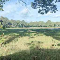 Bezoeker foto van Kringloopwinkel Carbootsale Horst in Horst