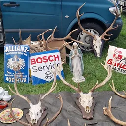 Bezoeker foto van Kringloopwinkel Carbootsale Horst in Horst