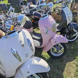 Bezoeker foto van Kringloopwinkel Carbootsale Horst in Horst