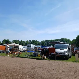 Carbootsale op een grasveld met diverse voertuigen, kraampjes en bezoekers op een zonnige dag
