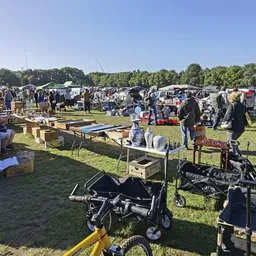 Carbootsale op grasveld met veel standhouders, tafels met spullen en bezoekers op zonnige dag