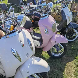 Verzameling vintage scooters in verschillende kleuren, waaronder wit, roze en blauw, geparkeerd op gras