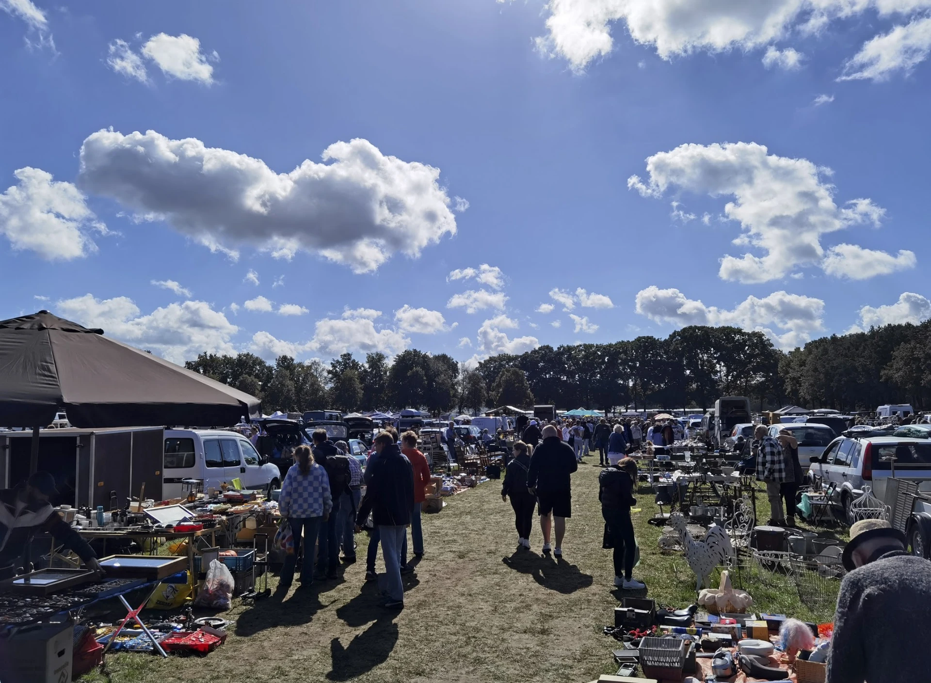Overzicht van een carbootsale met veel bezoekers die tussen uitgestalde spullen lopen op een grasveld