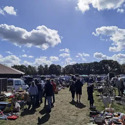 Overzicht van een carbootsale met veel bezoekers die tussen uitgestalde spullen lopen op een grasveld
