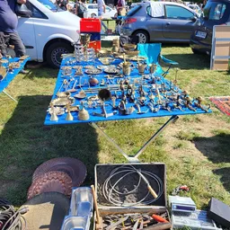 Uitgestalde verzameling vintage artikelen en bric-à-brac op blauwe tafel op grasmat
