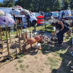Verschillende tweedehands items uitgestald op een carbootsale, waaronder decoratieve artikelen, gereedschap en huishoudelijke