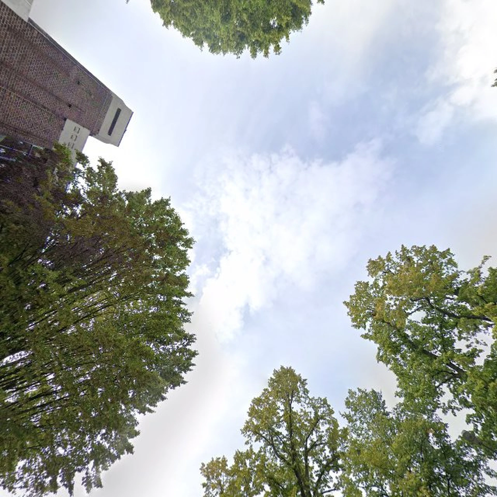 Kringloopwinkel Kringloopwinkel Carré in Maastricht