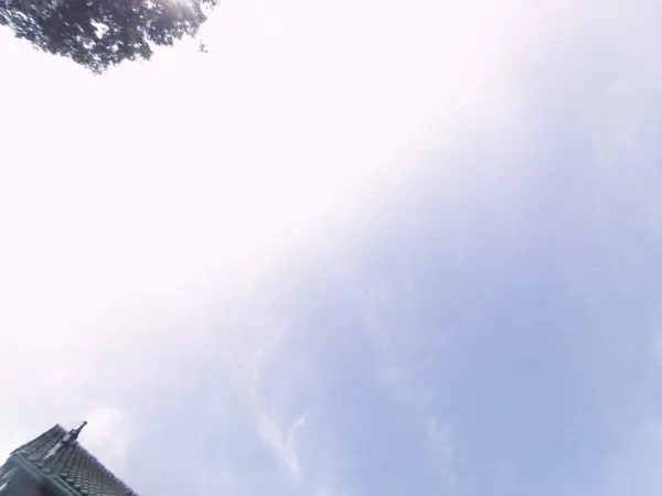 Kringloopwinkel Kringloopwinkel Casual Wo- Men in Oosthuizen