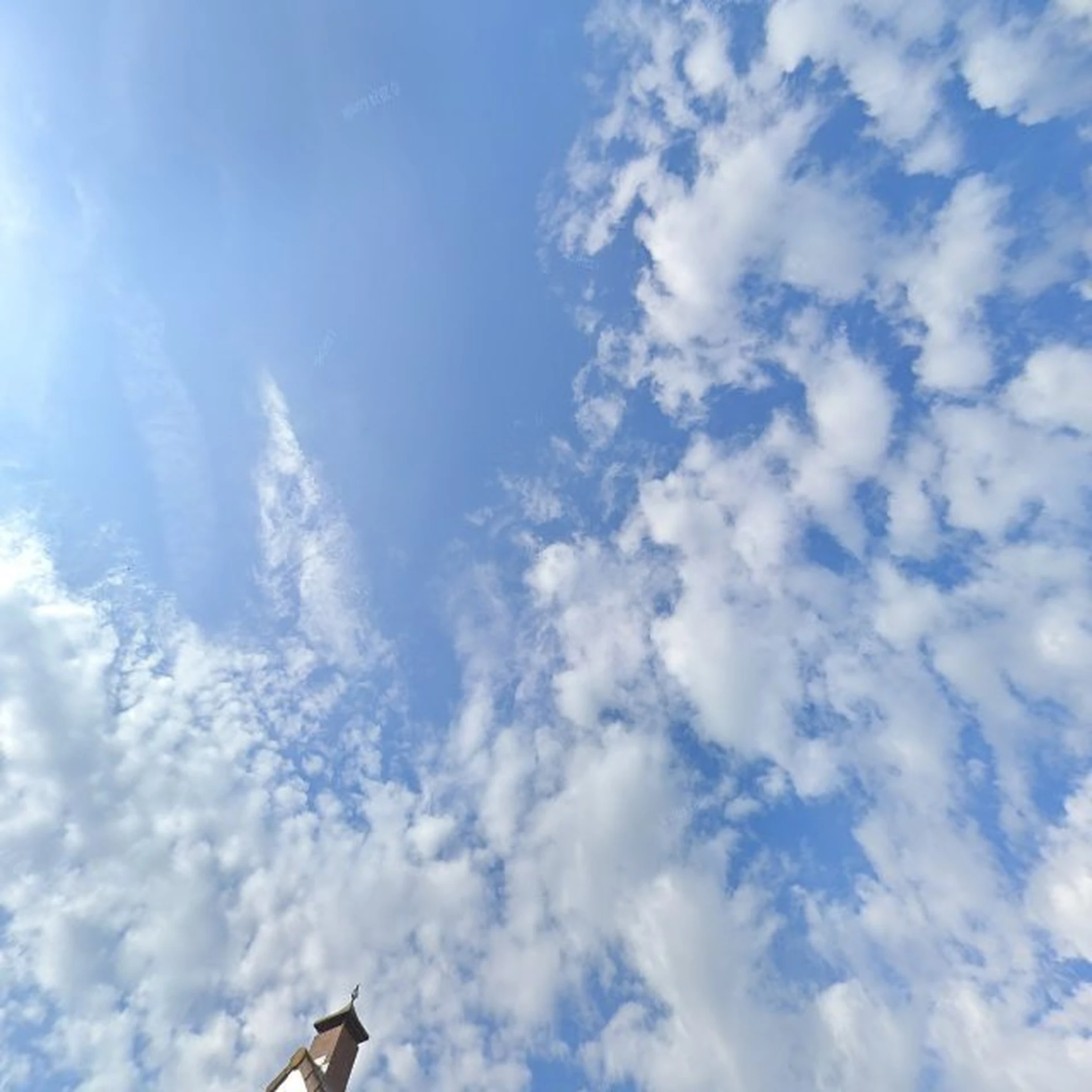 Kringloopwinkel Concept Caithness in Dussen