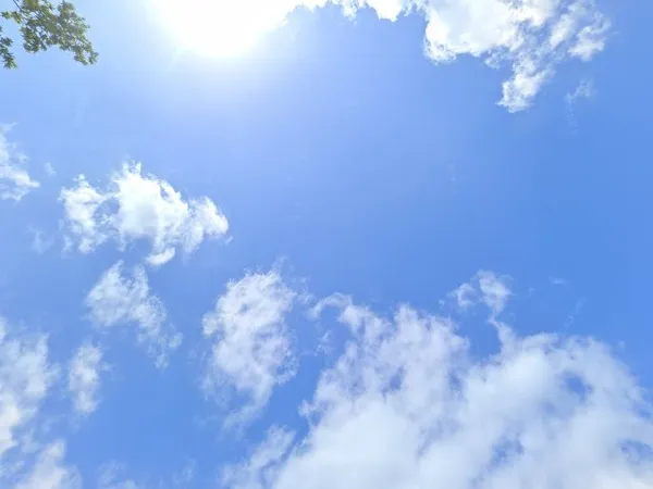 Kringloopwinkel Kringloopwinkel Corry's Snuffelpaleis in Berkel-Enschot