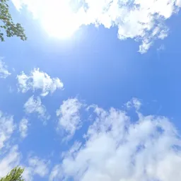 Kringloopwinkel Kringloopwinkel Corry's Snuffelpaleis in Berkel-Enschot