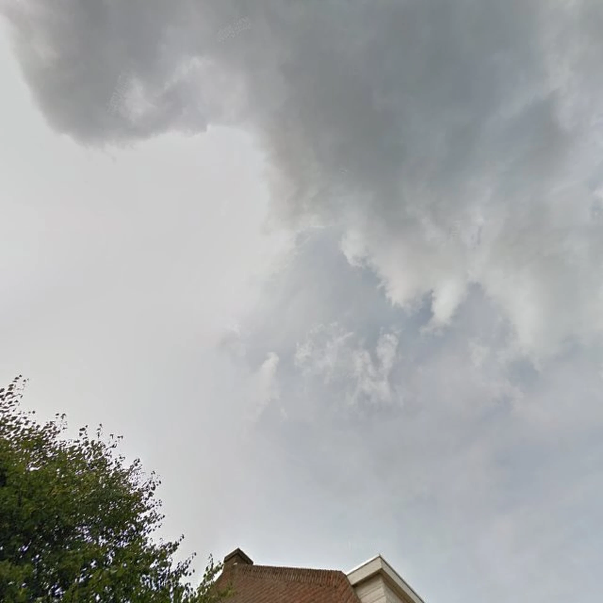 Kringloopwinkel D'rommels Goed - tweedehands, vintage, antiek, curiosa in Den Helder