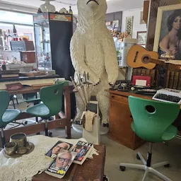 Bezoeker foto van D'rommels Goed - tweedehands, vintage, antiek, curiosa in Den Helder