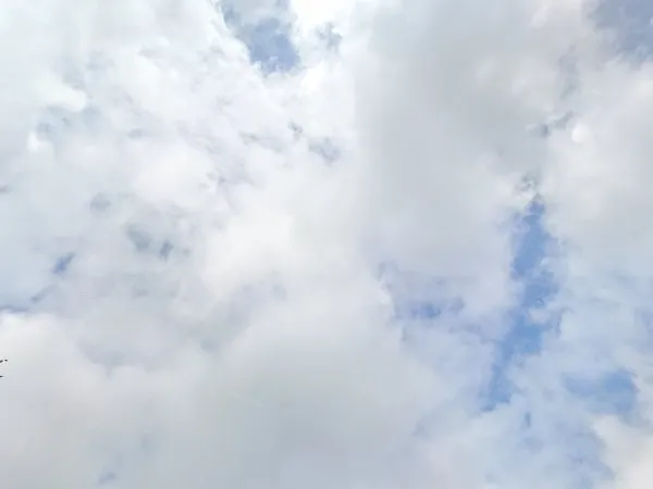 Kringloopwinkel in Vries