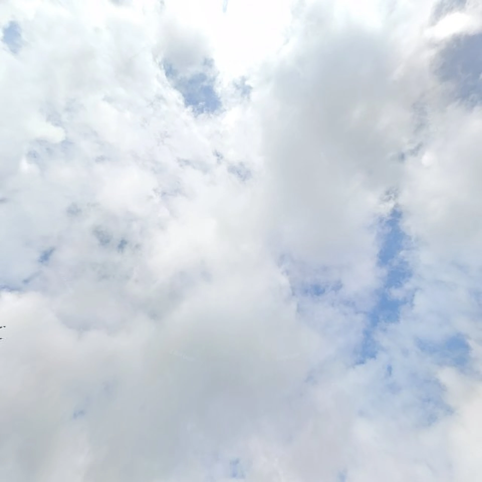 Kringloopwinkel Kringloopwinkel Dagbesteding Wees Welkom in Vries