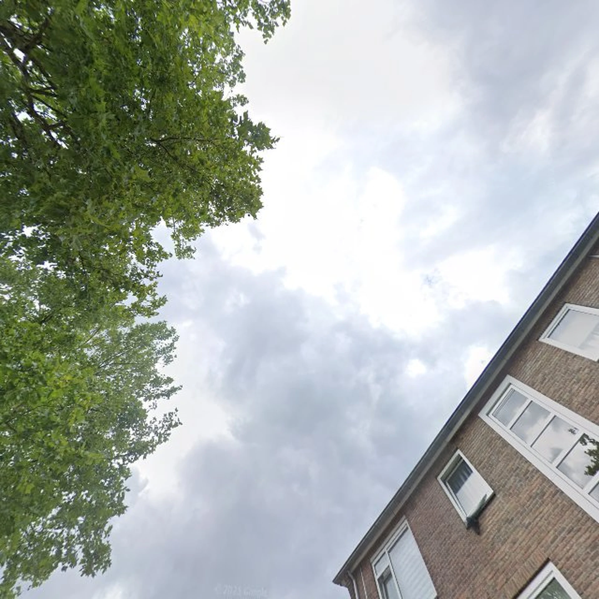 Kringloopwinkel Kringloopwinkel Dandy Snuffelhal in Enschede