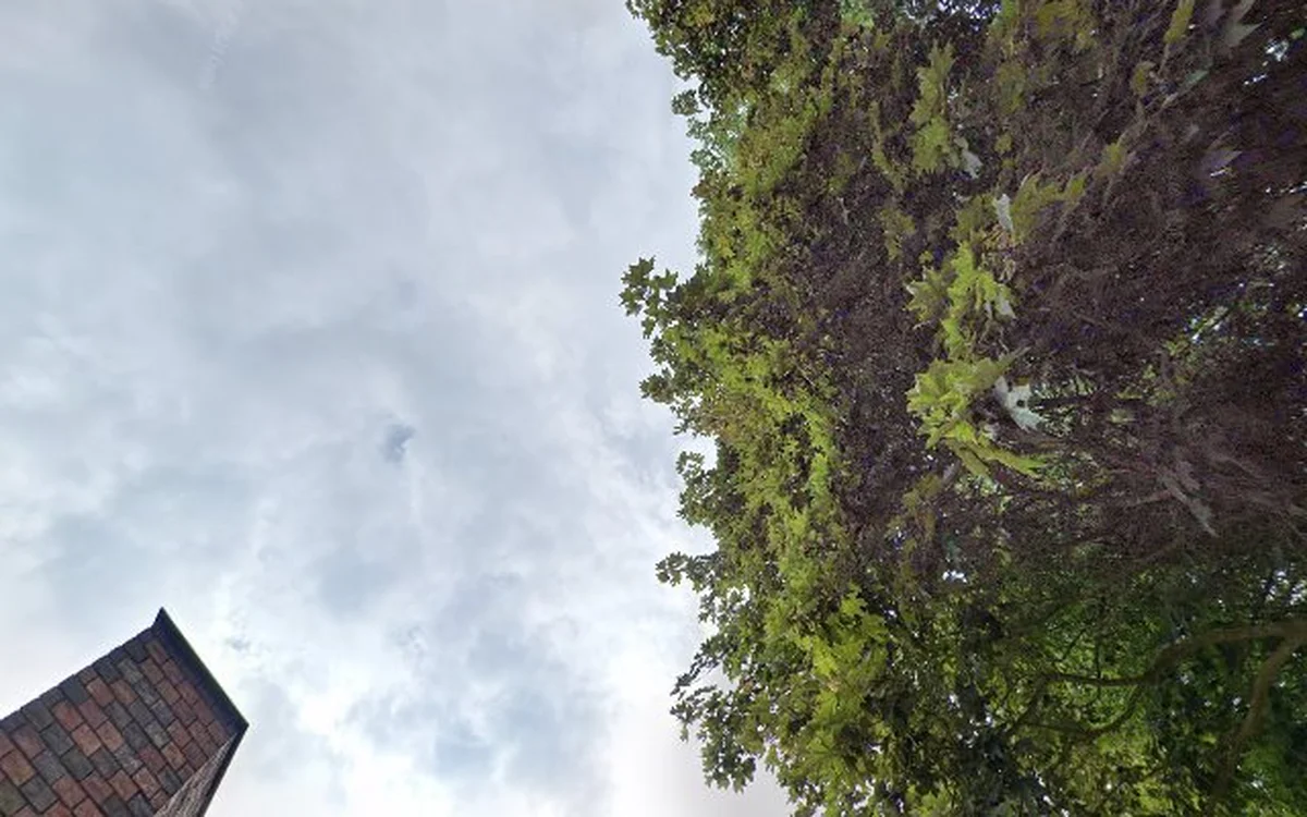 Kringloopwinkel Kringloopwinkel De Biebshop in Groningen in Groningen Stad