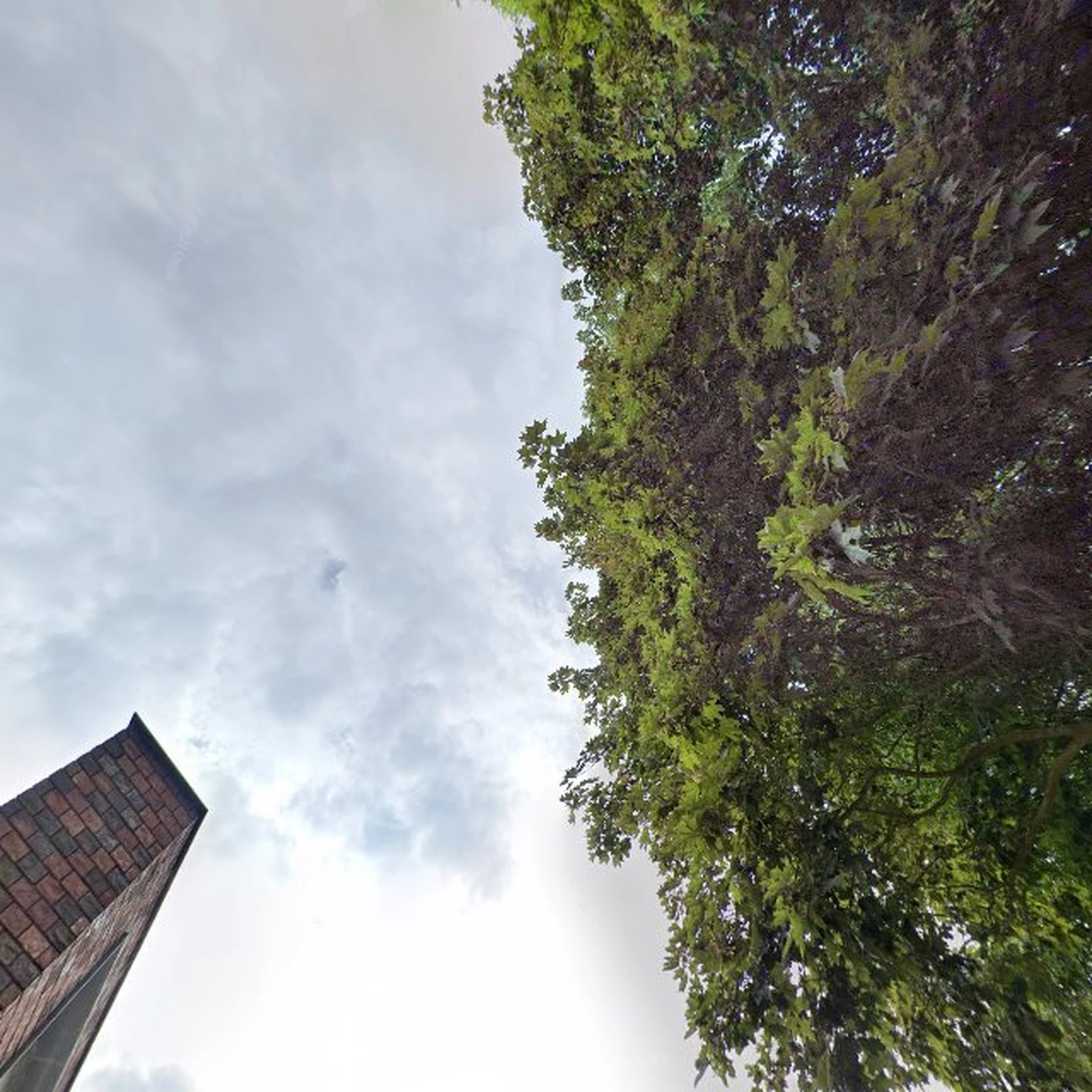 Kringloopwinkel Kringloopwinkel De Biebshop in Groningen in Groningen Stad