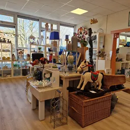 Heldere winkelvloer met diverse uitgestalde tweedehands artikelen, lampen, decoraties en meubels, grote ramen met uitzicht na