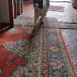 Bezoeker foto van Kringloopwinkel De Boekenboer in Formerum
