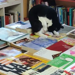 Bezoeker foto van Kringloopwinkel De Boekenboer in Formerum