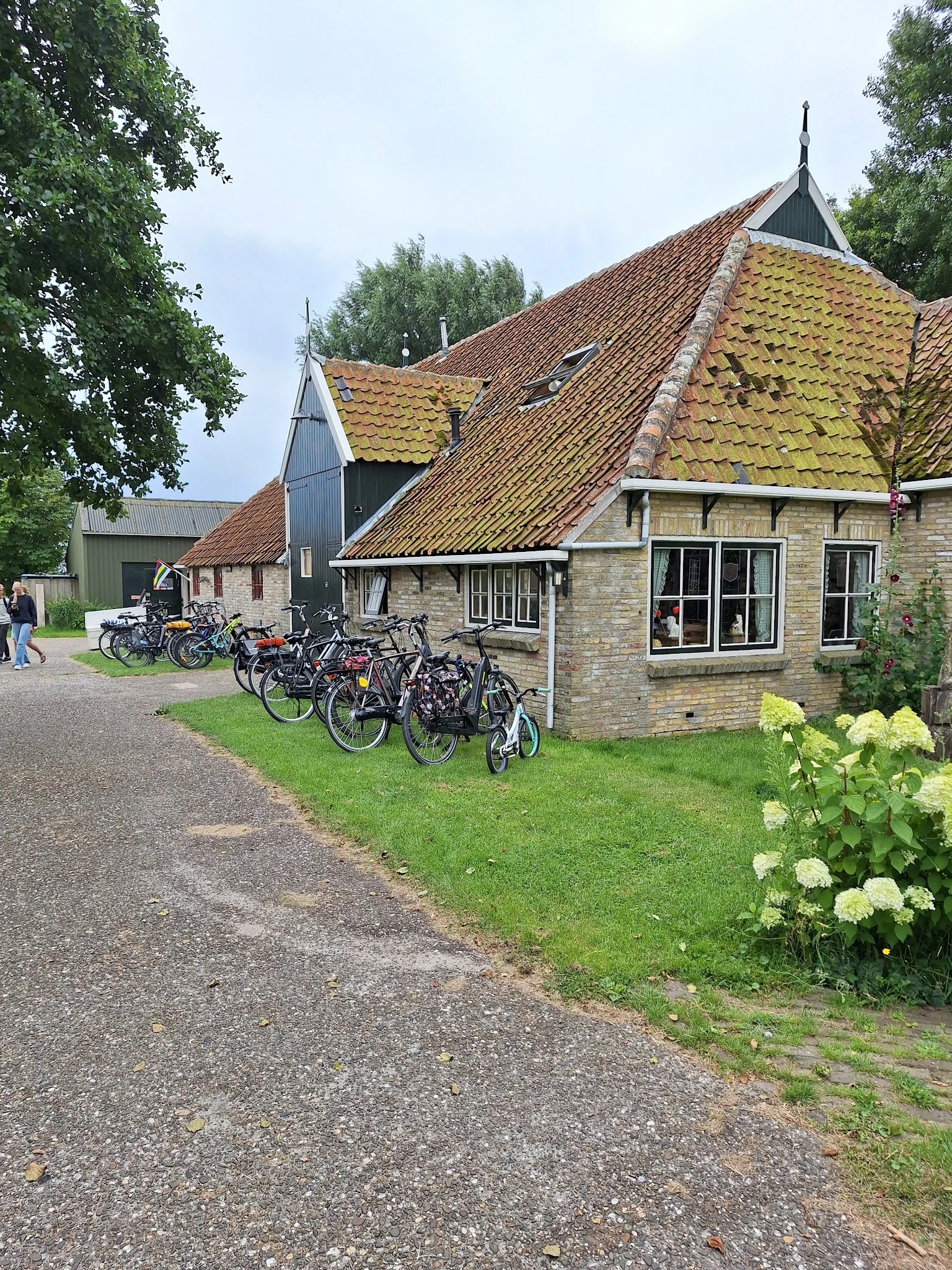 Voorkant van stenen kringloopwinkel met gele dakpannen, fietsen geparkeerd op het gazon, groene hortensia's op de voorgrond