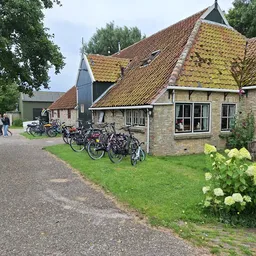 Voorkant van stenen kringloopwinkel met gele dakpannen, fietsen geparkeerd op het gazon, groene hortensia's op de voorgrond