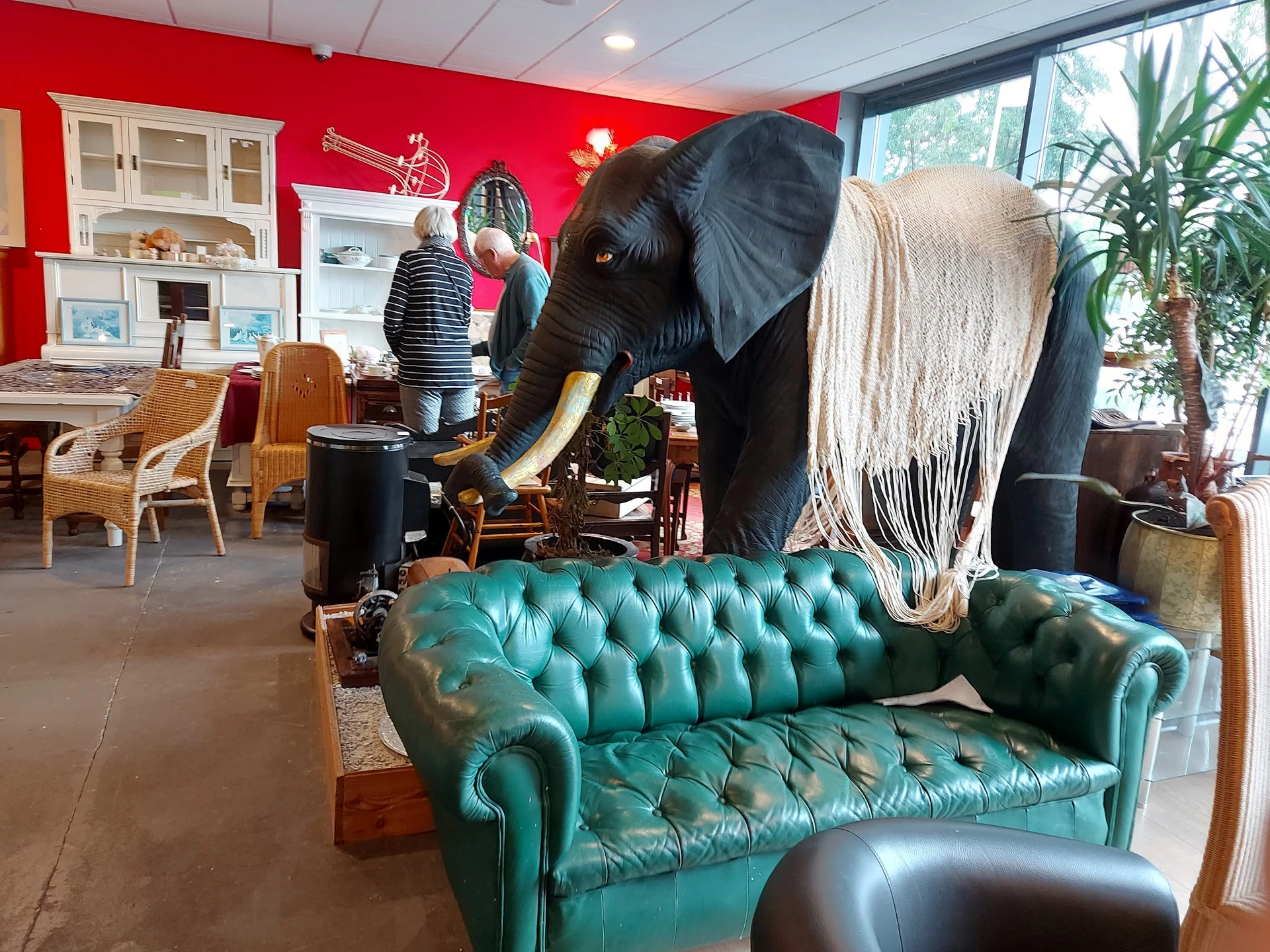 Winkelvloer met turquoise chesterfield-bank, groot olifantbeeld en diverse meubels en decoraties
