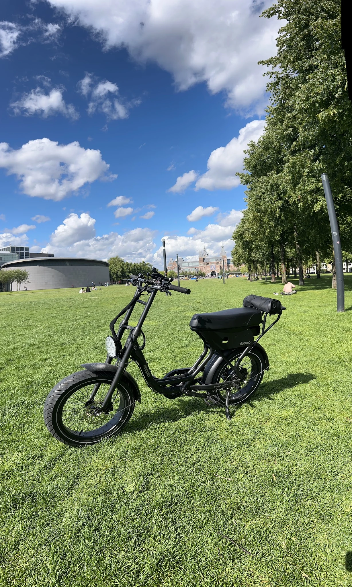 Elektrische fiets geparkeerd op groen grasveld met park en gebouwen op achtergrond