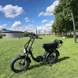 Elektrische fiets geparkeerd op groen grasveld met park en gebouwen op achtergrond