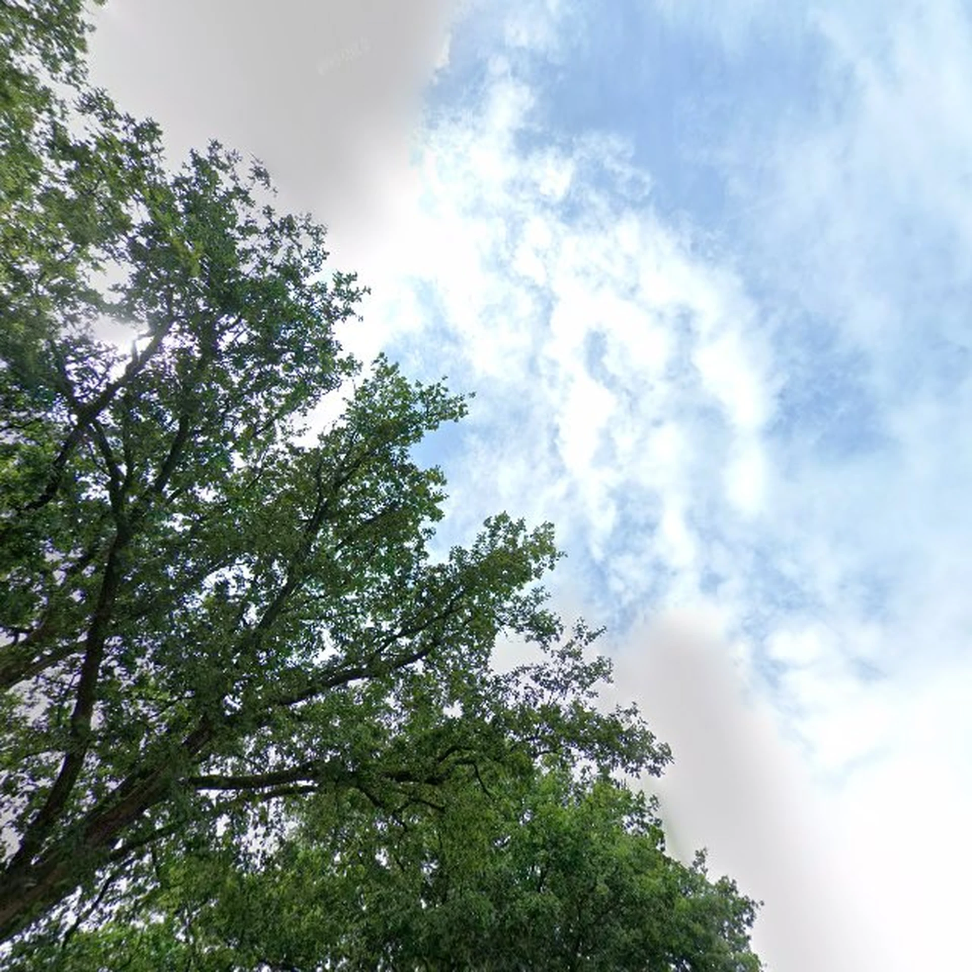 Kringloopwinkel Kringloopwinkel De BosHoeve in Laren (Noord-Holland)