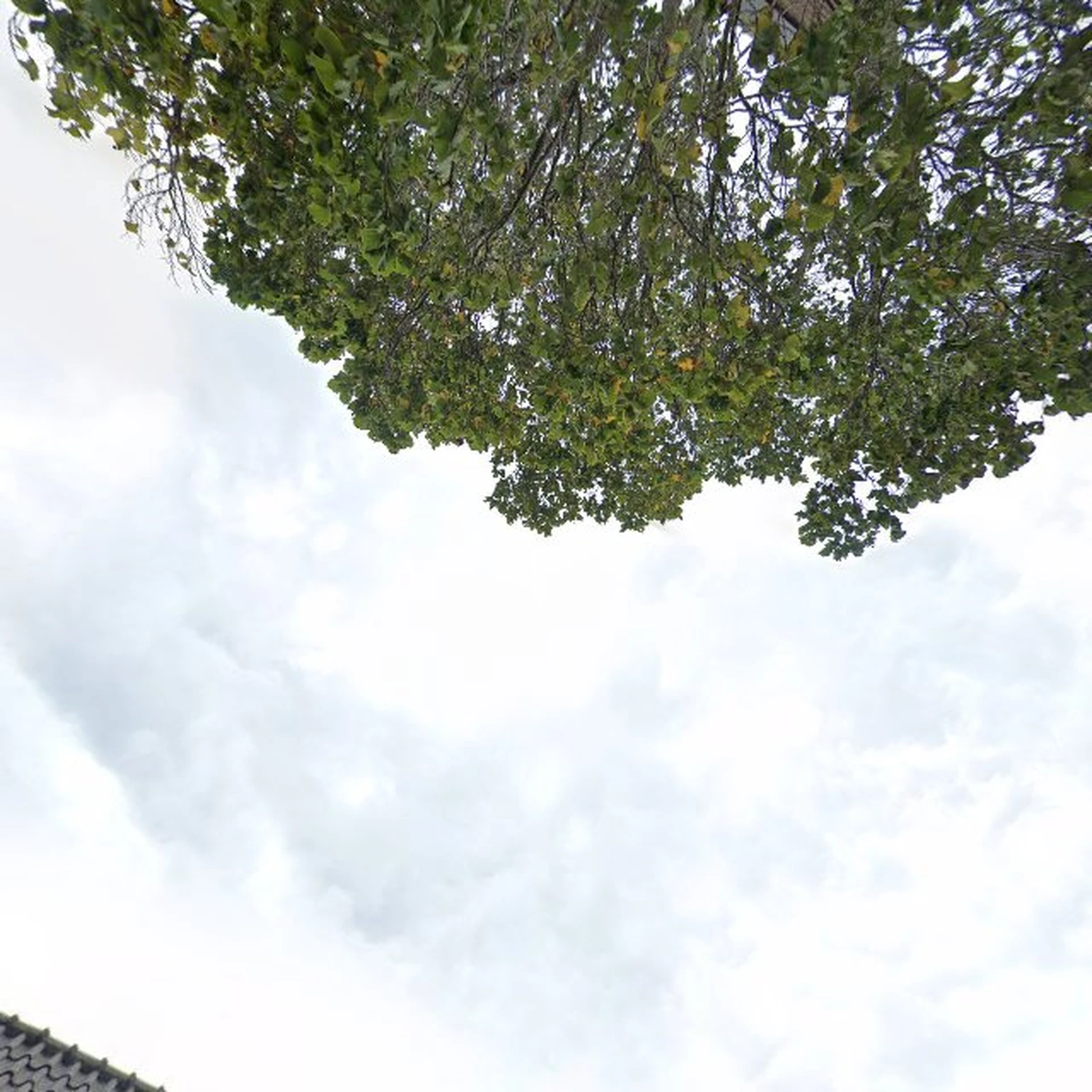 Kringloopwinkel Kringloopwinkel De Doorsluizer in Maassluis