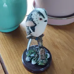 Bezoeker foto van Kringloopwinkel De Doorstroom in Eindhoven