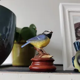 Bezoeker foto van Kringloopwinkel De Doorstroom in Eindhoven