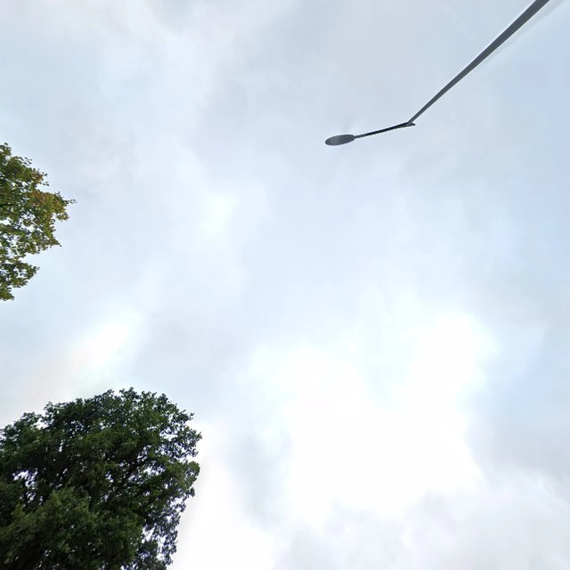 Kringloopwinkel De Goede Doelen Winkel Kringloop S.A.M. in Terborg