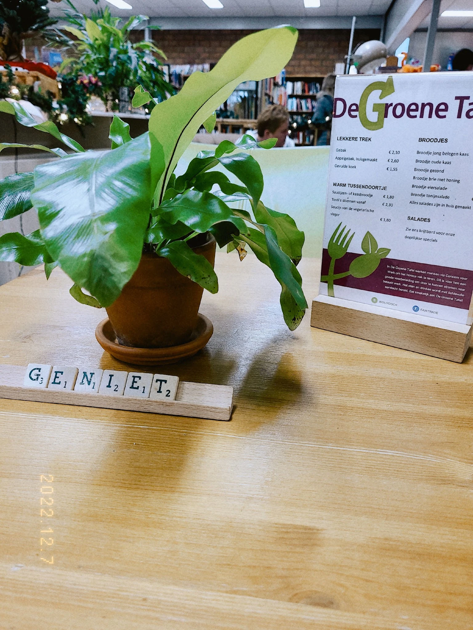 Potplant met bladeren op houten tafel naast Scrabble-letters en informatiebord