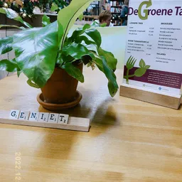 Potplant met bladeren op houten tafel naast Scrabble-letters en informatiebord